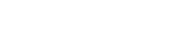 Braemer Paradigm