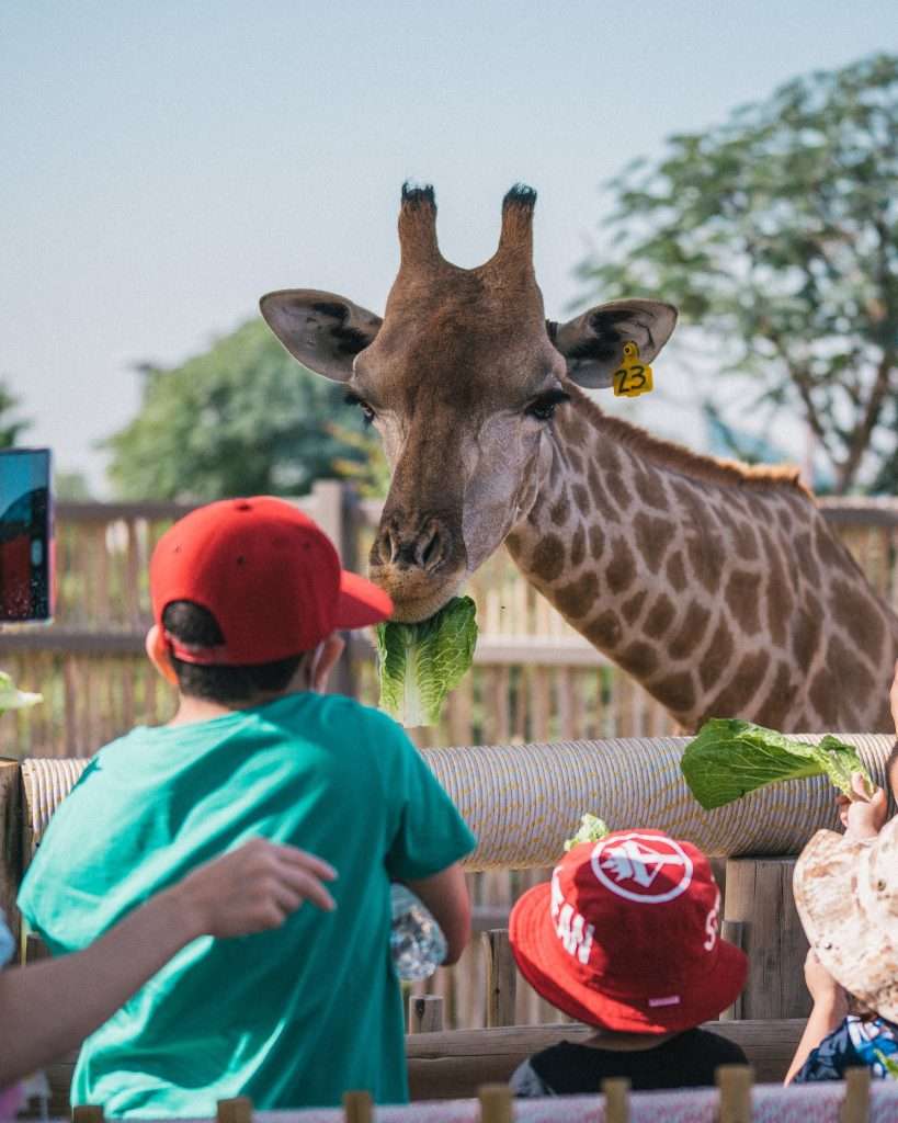 dubai safari village